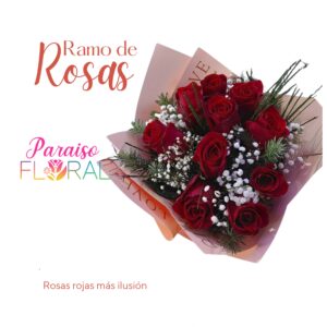 Ramo de Rojas ( rosas rojas mas ilusión)