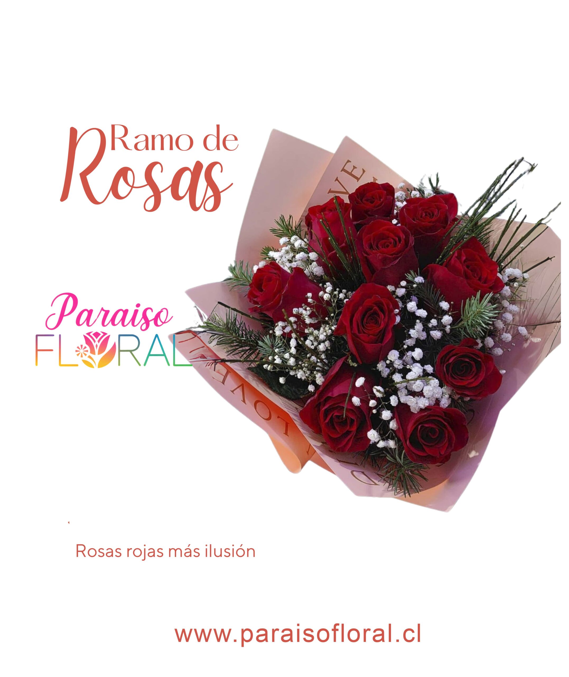 Ramo de Rojas ( rosas rojas mas ilusión)