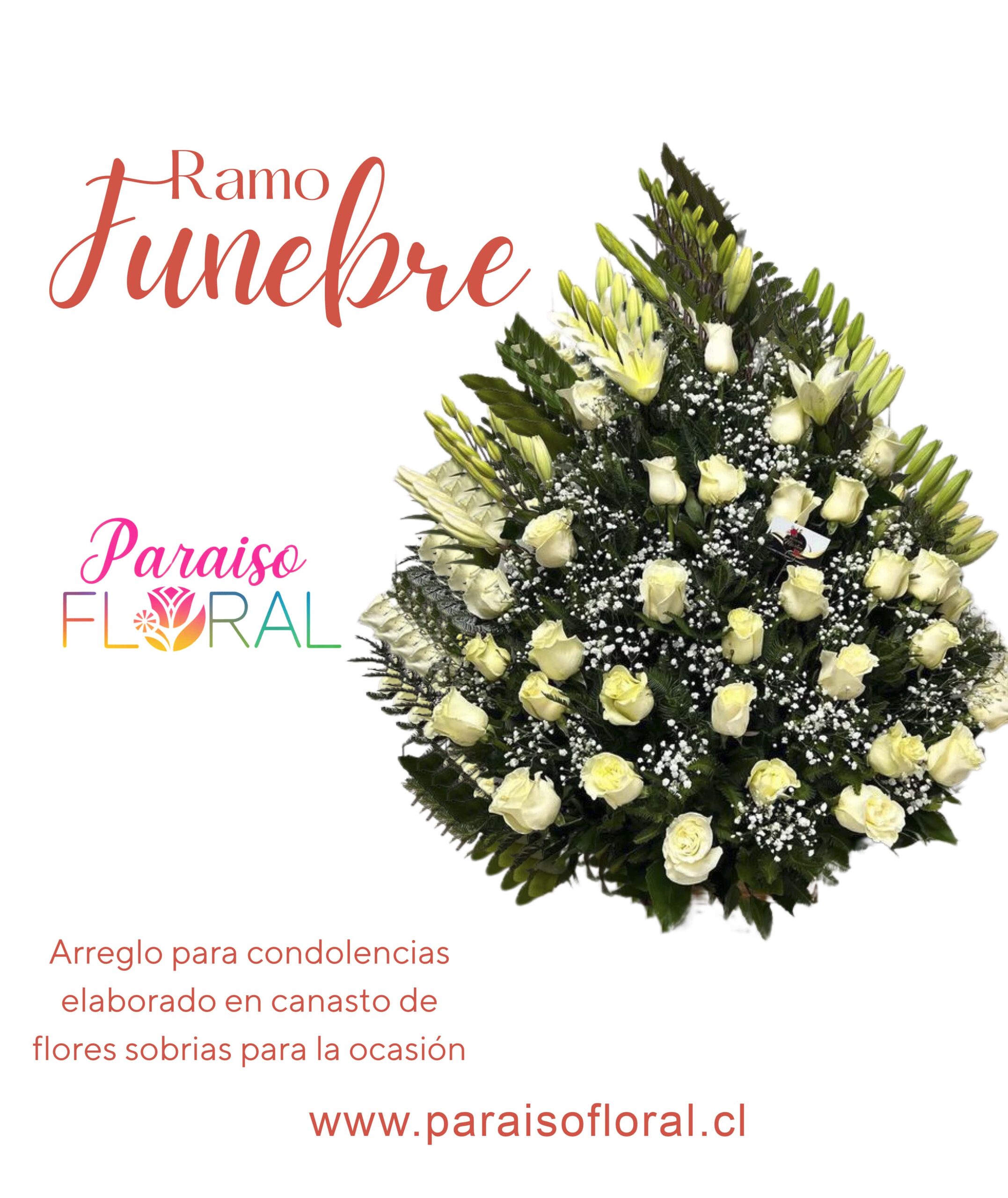 Ramo Fúnebre
