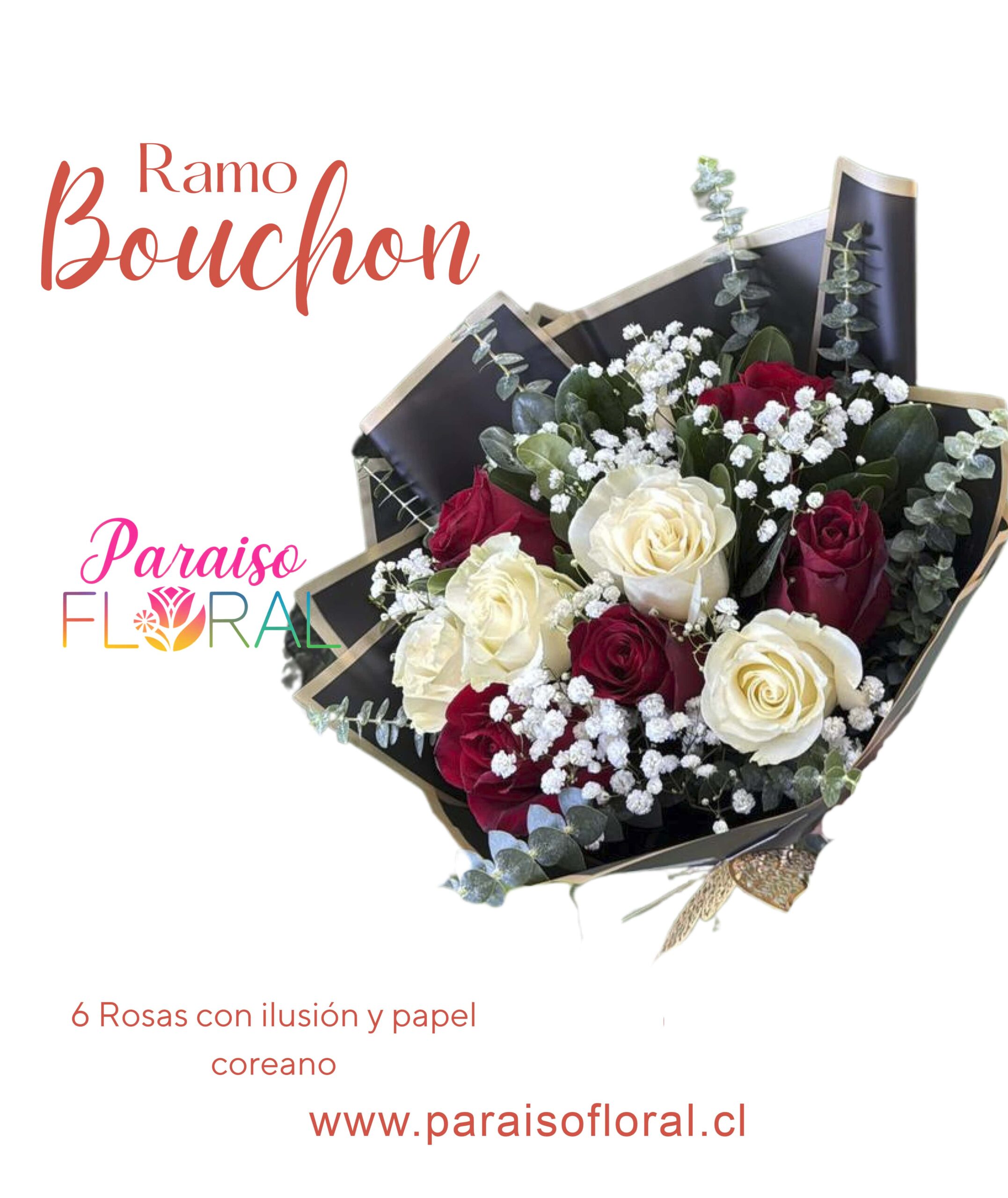 Ramo Bouchon