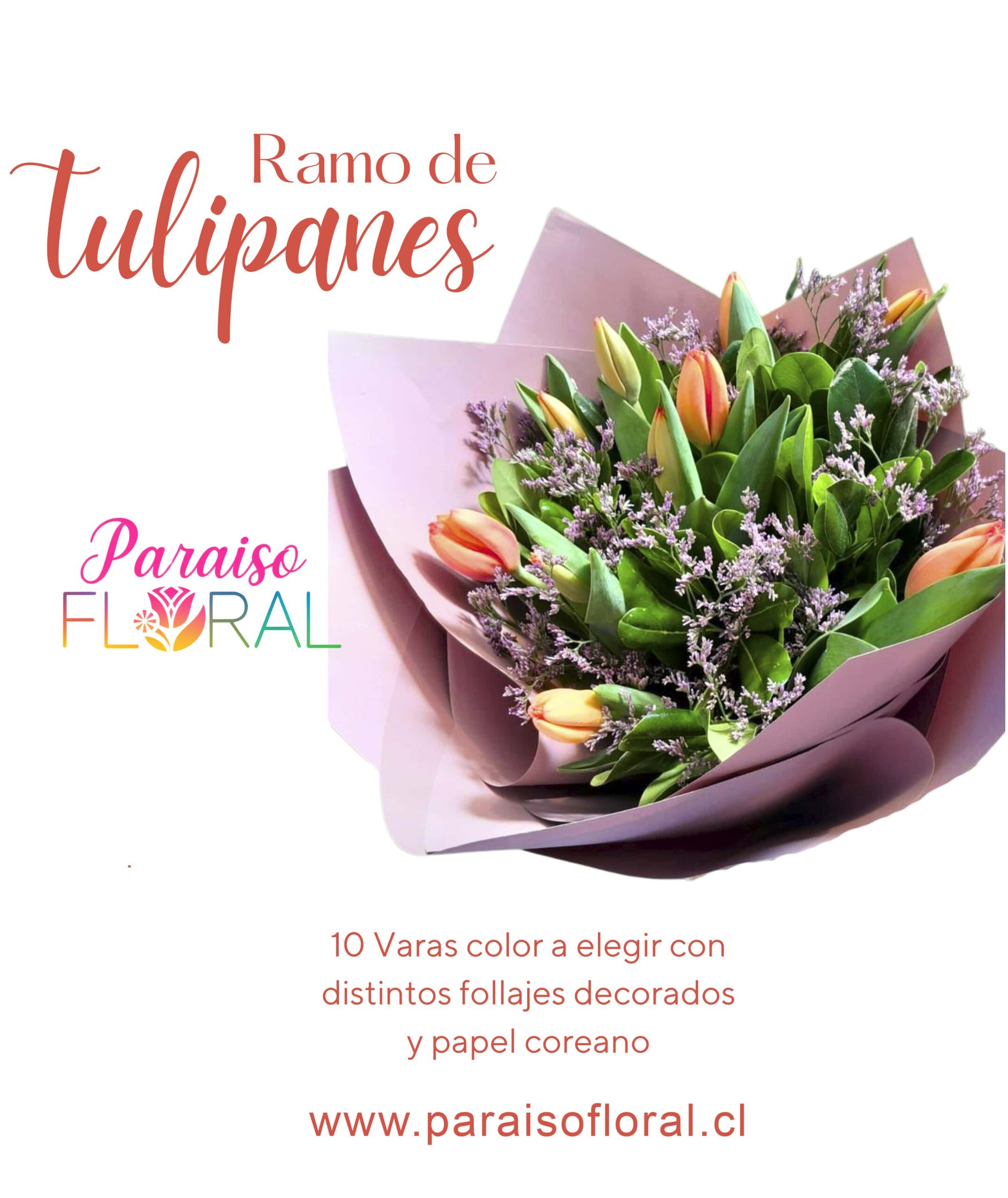 Ramo de Tulipanes