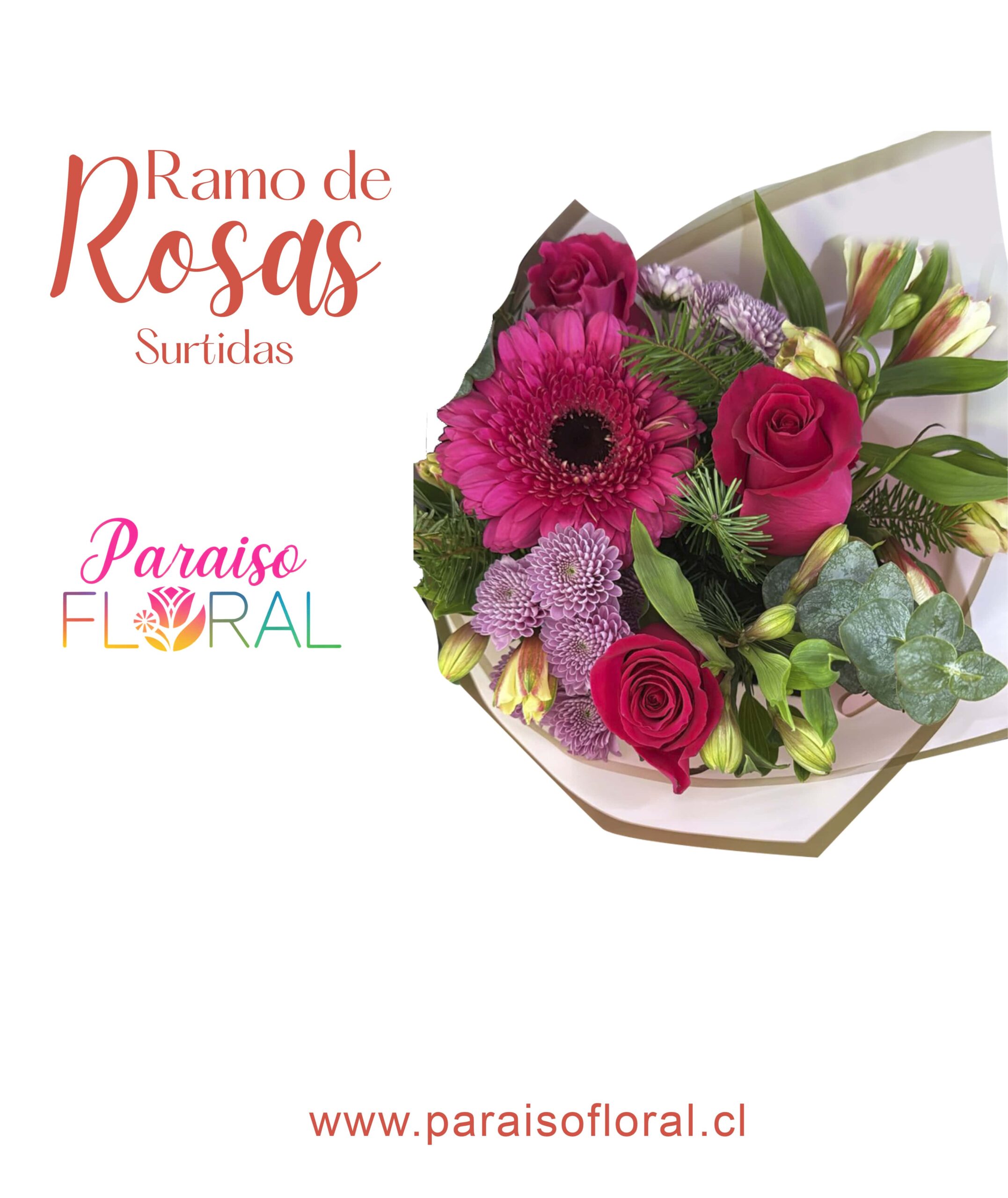 Ramo de Rosas Surtidas