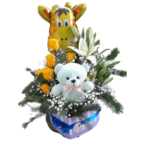 Box de Flores y Peluche para Nacimiento