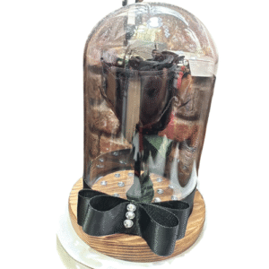 Rosa Negra Preservada