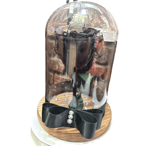 Rosa Negra Preservada