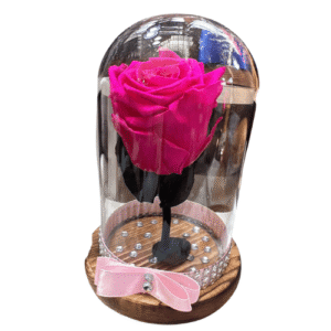 Rosa Preservada Fucsia
