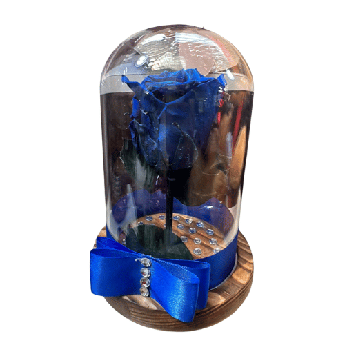 Rosa Preservada Azul